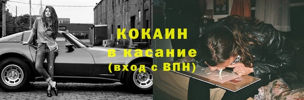 прущие грибы Бронницы