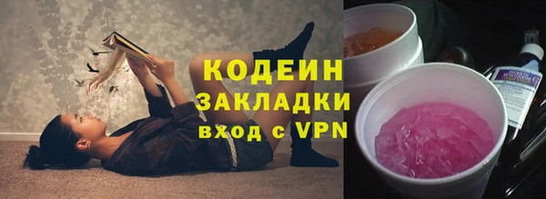 прущие грибы Бронницы