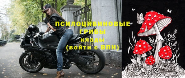 спиды Верея