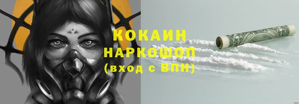 прущие грибы Бронницы