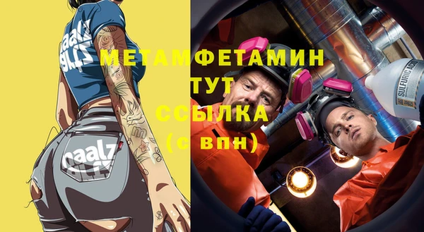 прущие грибы Бронницы
