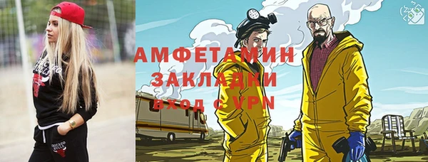 прущие грибы Бронницы
