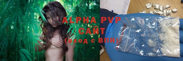 прущие грибы Бронницы